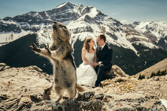 Epic and Awkward Wedding Photos