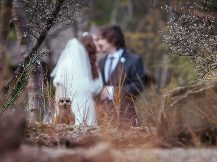 Epic and Awkward Wedding Photos