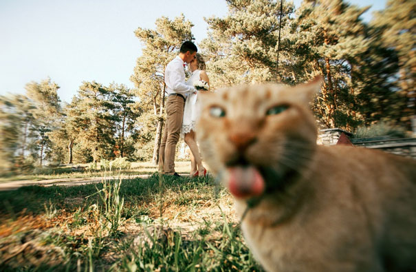 Epic and Awkward Wedding Photos