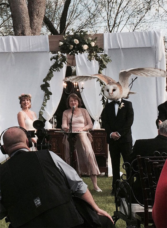 Epic and Awkward Wedding Photos