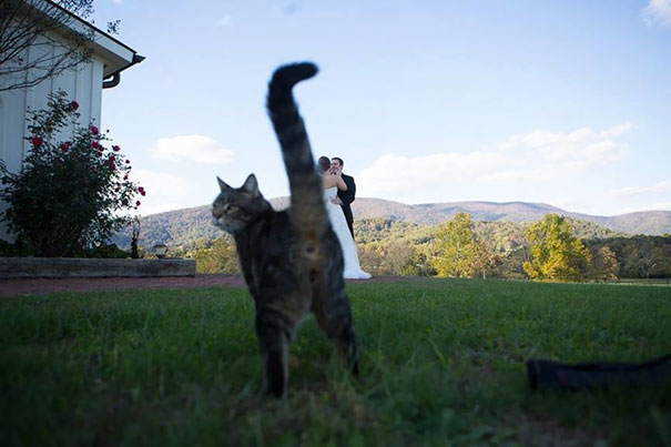 Epic and Awkward Wedding Photos