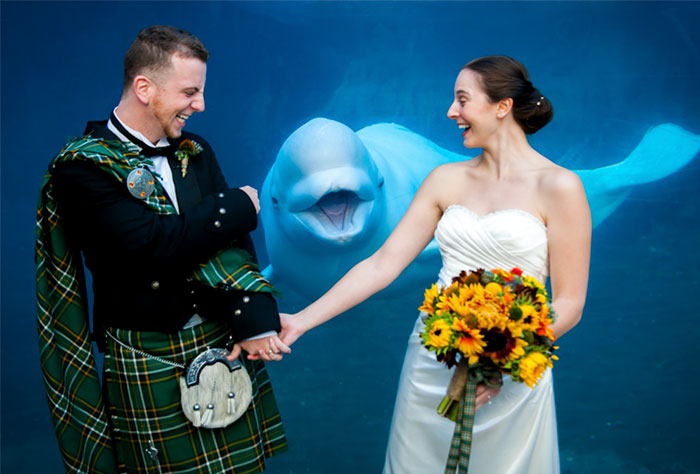 Epic and Awkward Wedding Photos