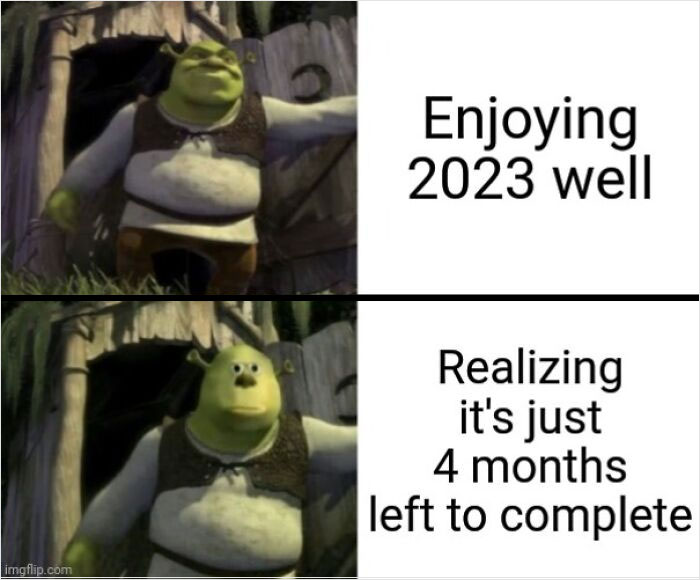 shrek meme