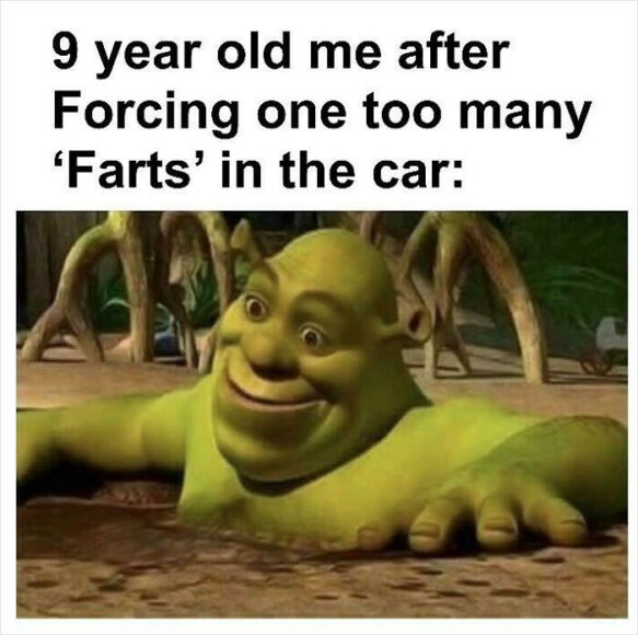 shrek meme