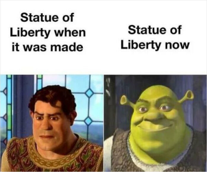 shrek meme