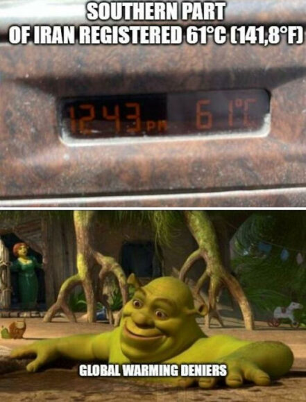 shrek meme