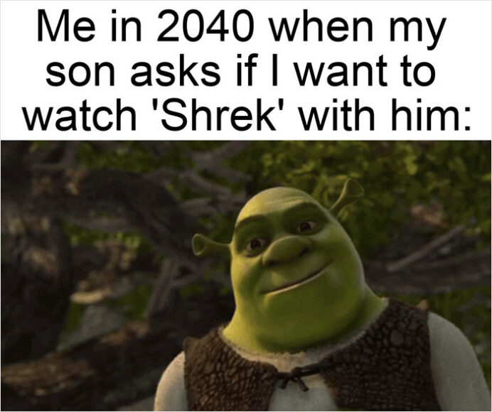 shrek meme