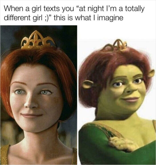 shrek meme